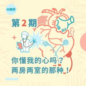 第二期：你懂我的心吗？两房两室的那种！